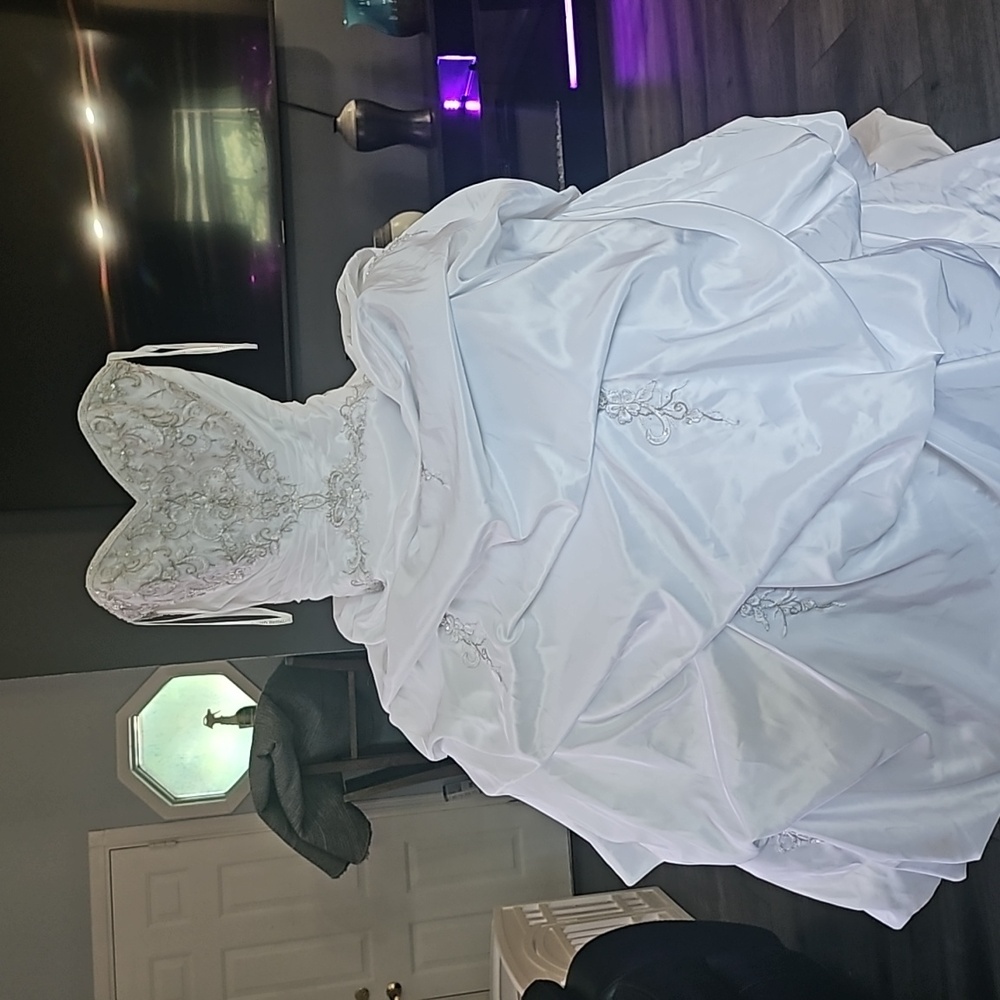 David's Bridal Wedding Dress (4)